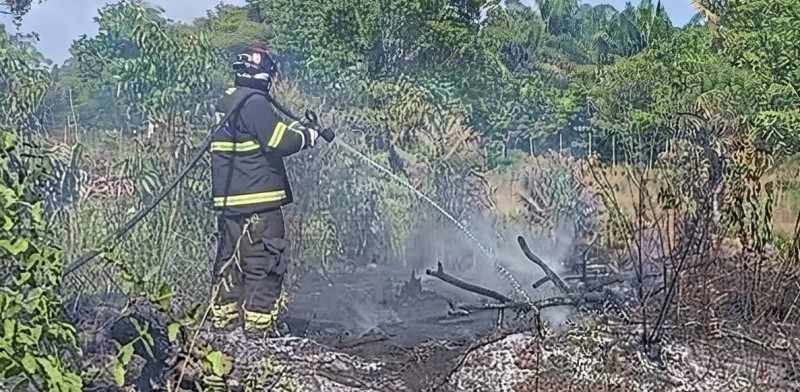 Queimadas destroem a natureza, prejudicam animais, pioram o ar e colocam vidas em risco