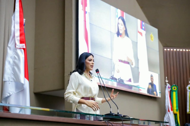 Mayra Dias cobra ações contra queimadas no Amazonas e alerta para situação em Parintins