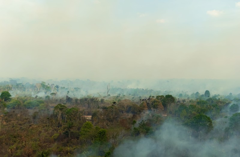 Lula anuncia reforço federal contra incêndios no Amazonas; Parintins recebe brigadistas do Ibama