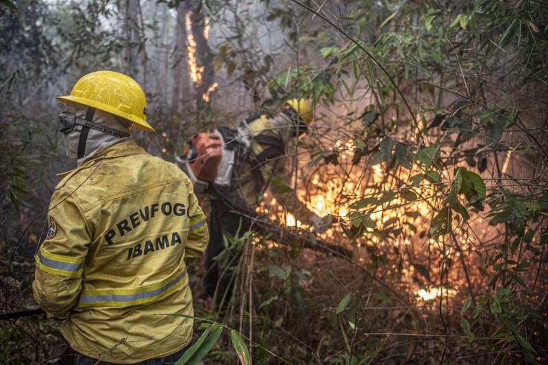 Ibama mobiliza brigadistas para combater incêndios em Parintins, Barreirinha e outros municípios do Amazonas