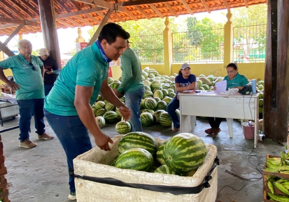 Prefeitura de Parintins adquire alimentos de produtores rurais