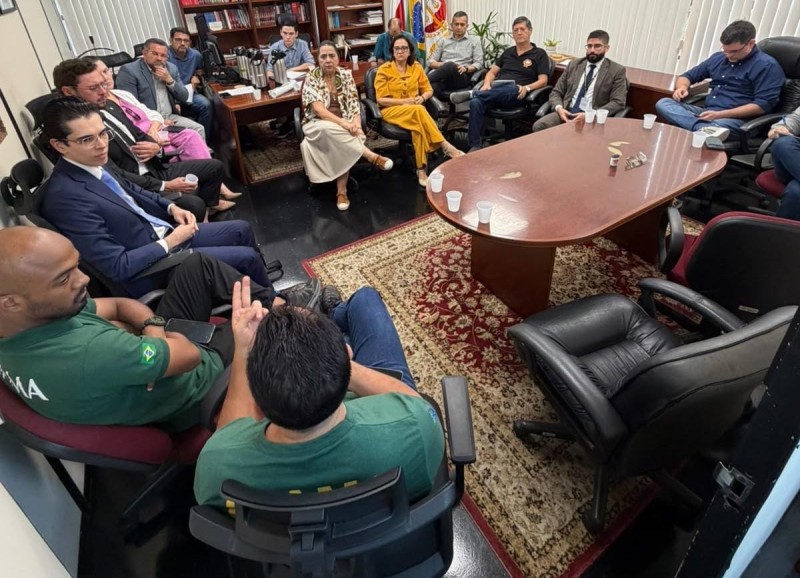 MPAM e órgãos federais reforçam ações para identificar e punir responsáveis por queimadas no Amazonas