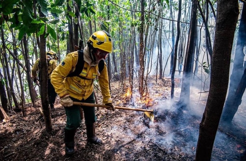Brigadistas do Ibama enfrentam incêndios no Amazonas e usam conhecimento da floresta para combater as chamas