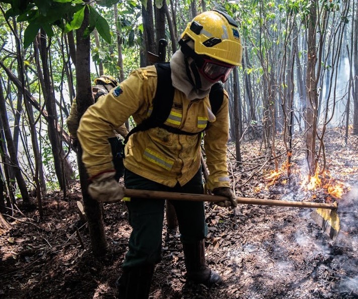 Brigadistas do Ibama utilizam equipamentos especiais para enfrentar incêndios florestais no Amazonas