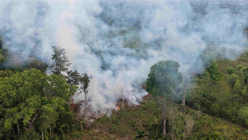 Ipaam multa proprietário de terreno em R$ 15 mil após flagrante de queimada no Careiro