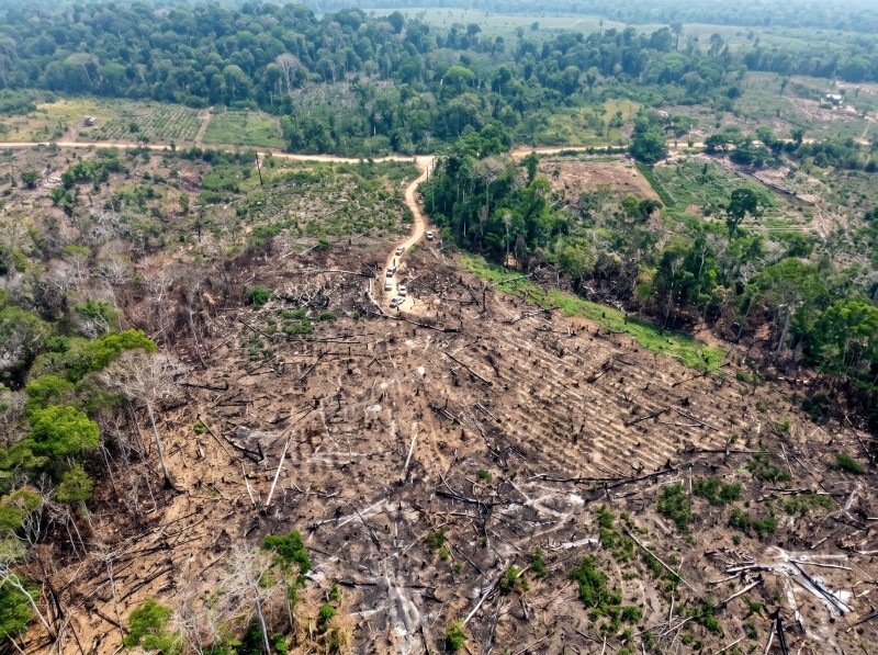 Ipaam aplica R$ 8,5 milhões em multas e embarga mais de 916 hectares na 13ª etapa da Operação Tamoiotatá 6