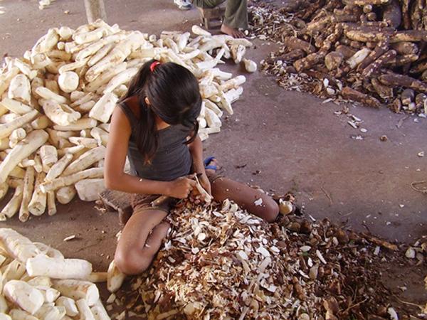 Brasil tem 30 mil crianças de cinco a nove anos no mercado de trabalho Brasil tem 30 mil crianças de cinco a nove anos no mercado de trabalho