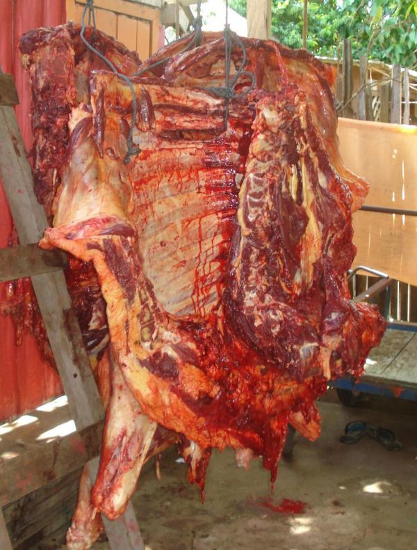 Combate ao abate clandestino de carne intensificado em Parintins 