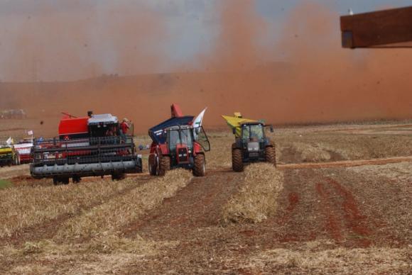 Chuvas elevam em 2,2% previsão da safra para este ano