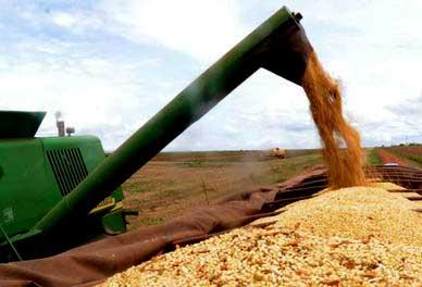 Governo libera R$ 12,5 bilhões para financiar safra agrícola de 2018 e 2019 Governo libera R$ 12,5 bilhões para financiar safra agrícola de 2018 e 2019