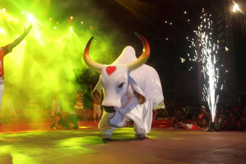 Festa vermelha lança CD Auto da Resistência Cultural