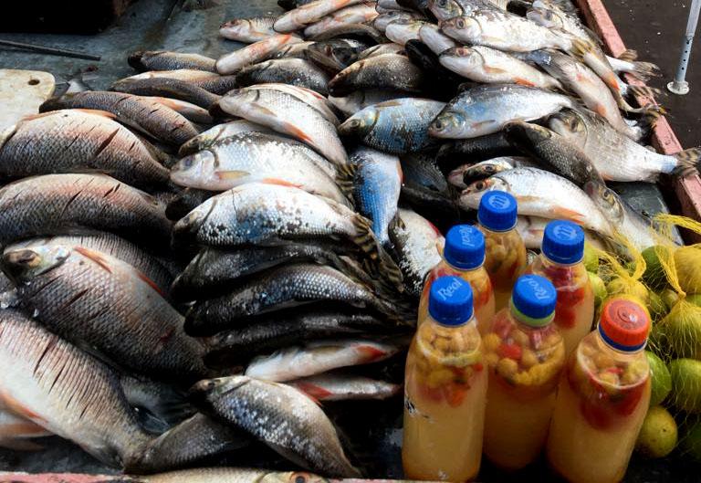 Feiras e mercados estarão abastecidos de pescado na Semana Santa, assegura Sempa