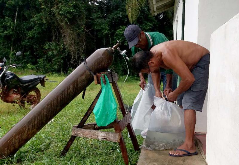 Unidade produtora de alevino em Vila Amazônia começa a beneficiar piscicultores da região