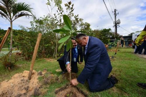 Sauin-de-coleira será monitorado e Parque Sumaúma será recuperado pelo Governo do Estado