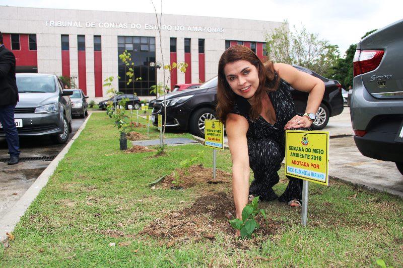 Servidores do TCE-AM plantam mudas em comemoração ao Dia Mundial do Meio Ambiente Servidores do TCE-AM plantam mudas em comemoração ao Dia Mundial do Meio Ambiente