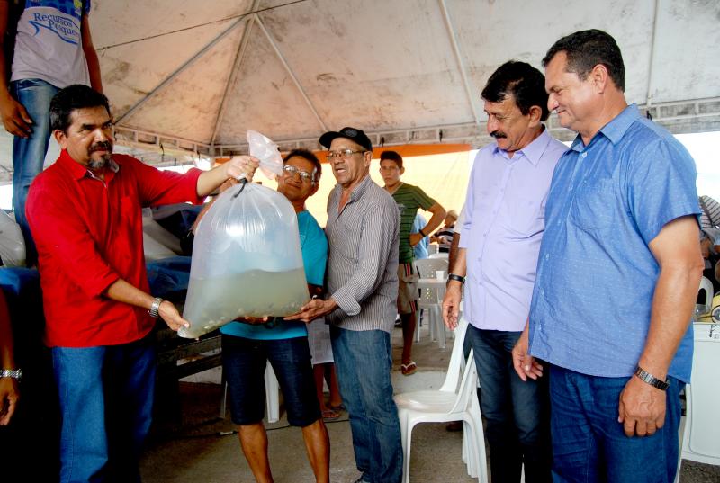 Piscicultores  do Baixo Amazonas receberam 50 mil alevinos de tambaqui da Prefeitura de Parintins