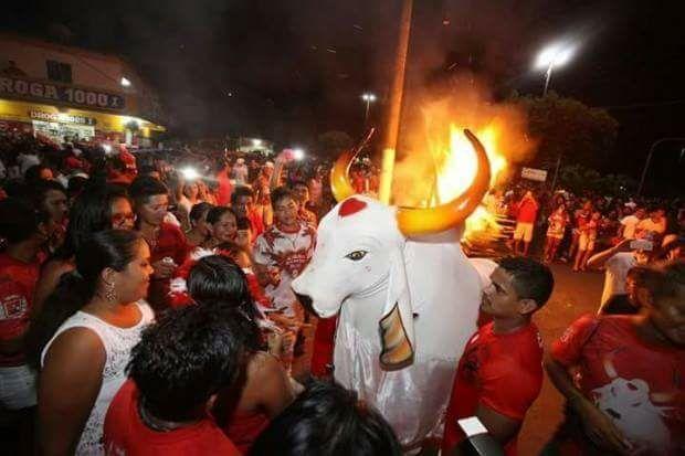 Garantido faz ladainha a Santo Antônio e homenageia namorados em Parintins Garantido faz ladainha a Santo Antônio e homenageia namorados em Parintins