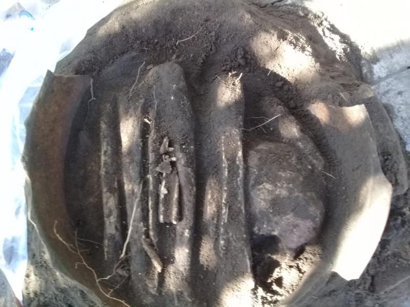 Urna funerária encontrada em Parintins será analisada por técnicos contratados pela PMP Urna funerária encontrada em Parintins será analisada por técnicos contratados pela PMP