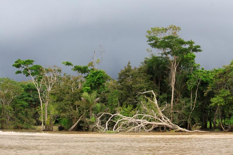 MPF adverte que projeto que altera código florestal reduz proteção ambiental 