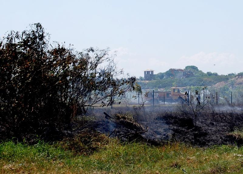 TCE-AM reúne órgãos públicos para solucionar as queimadas em Manaus