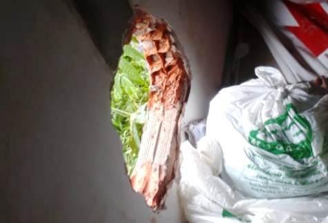 Loja do Grupo Albuquerque tem parede quebrada e mais de 800 peças de roupas são roubadas