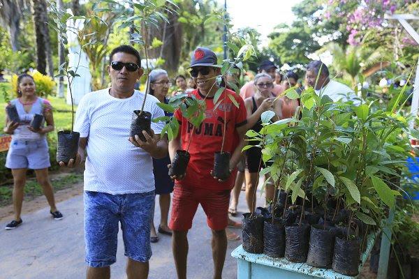 Prefeitura de Santarém distribui mudas de plantas no Natal
