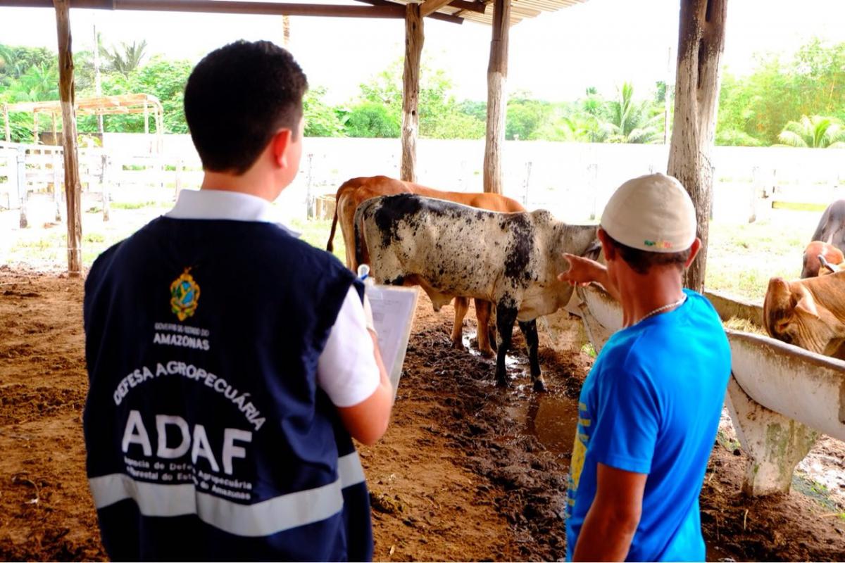Concurso ADAF 2018: Instituto AOCP divulga resultado preliminar