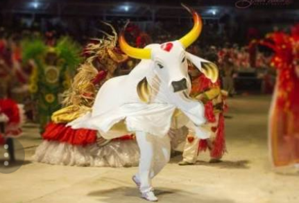  Garantido pede destituição da Comissão Julgadora do Festival de Parintins 