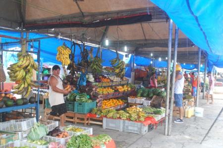 Falta de produtos regionais gera discussão no comércio parintinense 