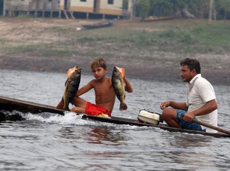 Federação dos Pescadores e parlamentares do AM contestam a suspensão do seguro-defeso