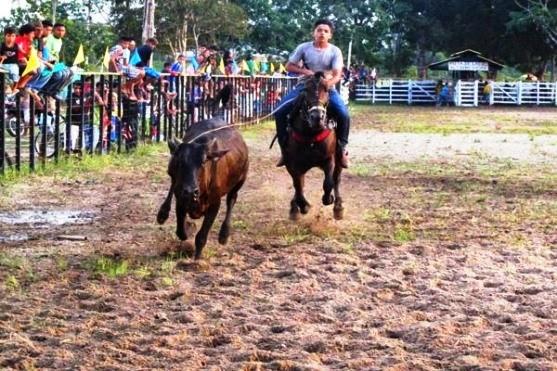Feira Agropecuária de Barreirinha será realizada de 24 a 27 de novembro