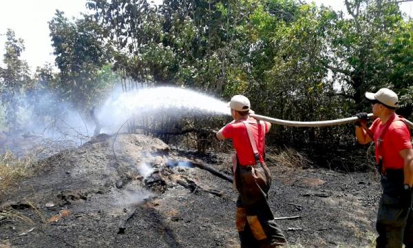 Focos de queimada urbana em Parintins duplicam no intenso verão amazônico 
