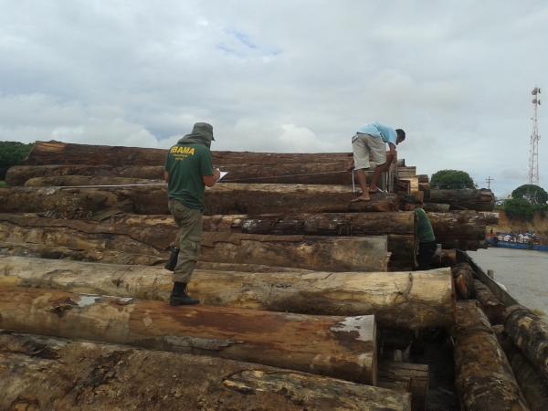 IBAMA apreende cerca de 700 metros cúbicos de madeira em toras no rio Uaicurapá, Parintins-AM