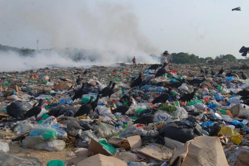Ibama e Bombeiros investigam queimadas ilegais