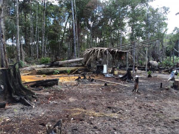 Ipaam aplica mais de R$ 500 mil em multas por ocorrências de queimadas neste primeiro semestre