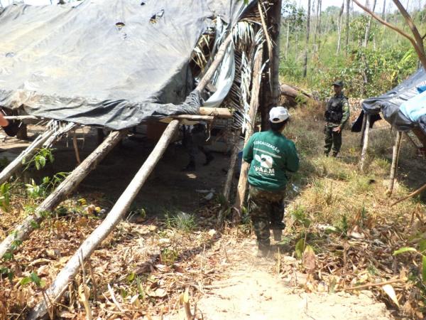 Ipaam aplica R$ 1 milhão de multas em operação contra desmatamento no Sul do Amazonas