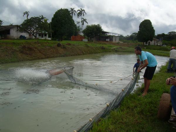 Lei que disciplina a atividade pesqueira no Amazonas é aprovada na ALEAM