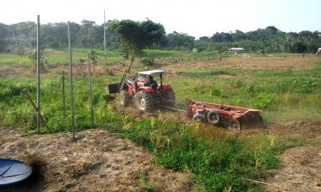 Mecanização agrícola  de várzea impulsiona produção rural 