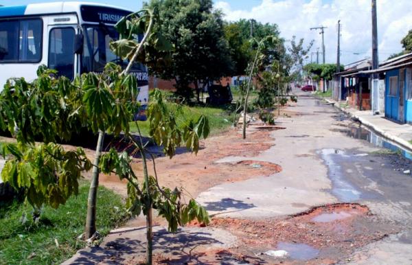 Moradores protestam contra buraqueira e plantam árvores no meio da rua no Itaúna Moradores protestam contra buraqueira e plantam árvores no meio da rua no Itaúna