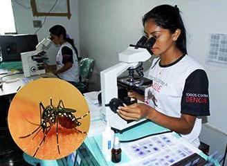 “Mosquito aedes aegypti não consegue sobreviver em Barreirinha”, afirma gerente de endemias