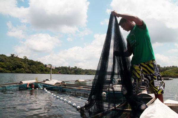 Pescadores do Amazonas terão uma perda de R$ 105 mi por deixarem de receber seguro-defeso em 2016