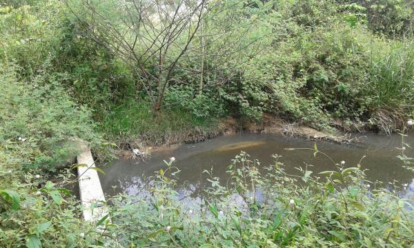 Professor cobra investigação sobre despejo de esgoto doméstico do Vila Cristina no lago do Macurani