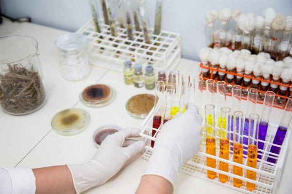 Programa de cooperação internacional encerra inscrição dia 29 de setembro Programa de cooperação internacional encerra inscrição dia 29 de setembro