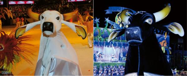 Projeto do senador Omar Aziz a um passo de transformar Parintins na Capital Nacional do Boi-Bumbá