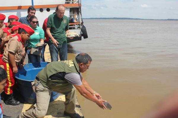 Quelônios apreendidos são devolvidos ao seu habitat natural