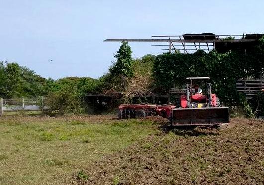 Sempa Parintins contempla primeiros criadores com o projeto de apoio à pecuária leiteira Sempa Parintins contempla primeiros criadores com o projeto de apoio à pecuária leiteira