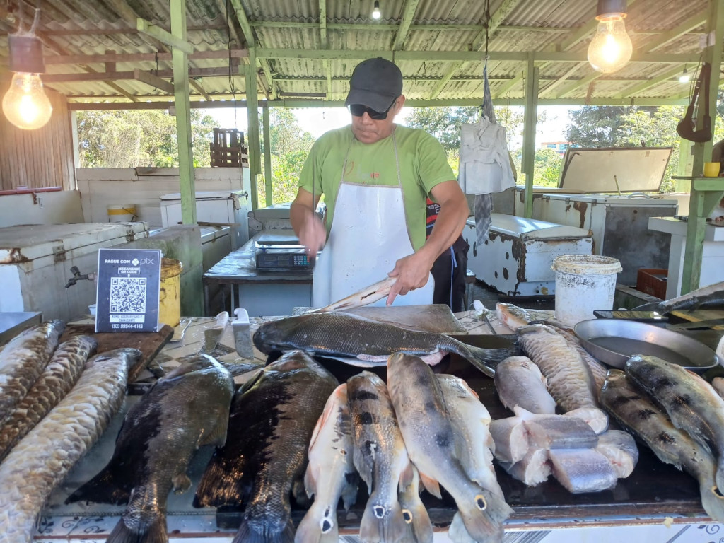 WhatsApp Image 2026-04-03 at 11.43.22.jpeg