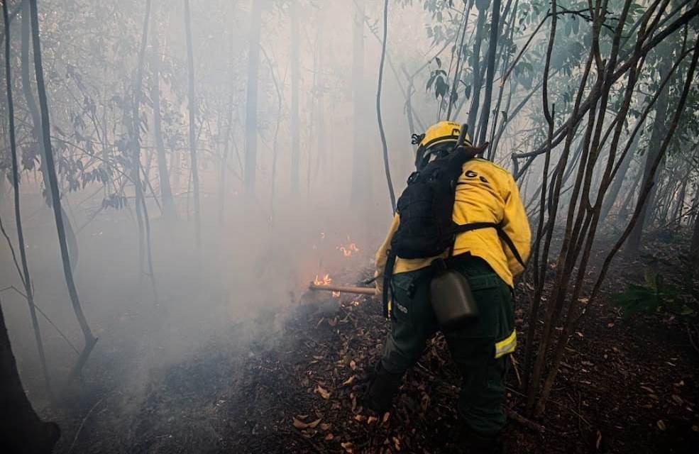 WhatsApp Image 2026-10-18 at 20.06.43.jpeg